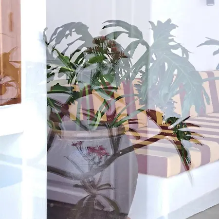 Otel Casa De Flores - Boutique Lanzarote Teguise (Lanzarote)