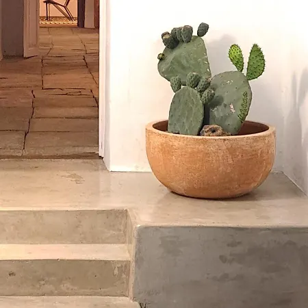 Casa De Flores - Boutique Lanzarote Teguise (Lanzarote)