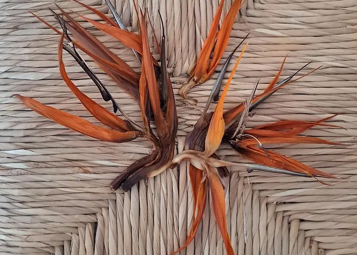 Casa De Flores - Boutique Lanzarote 4*