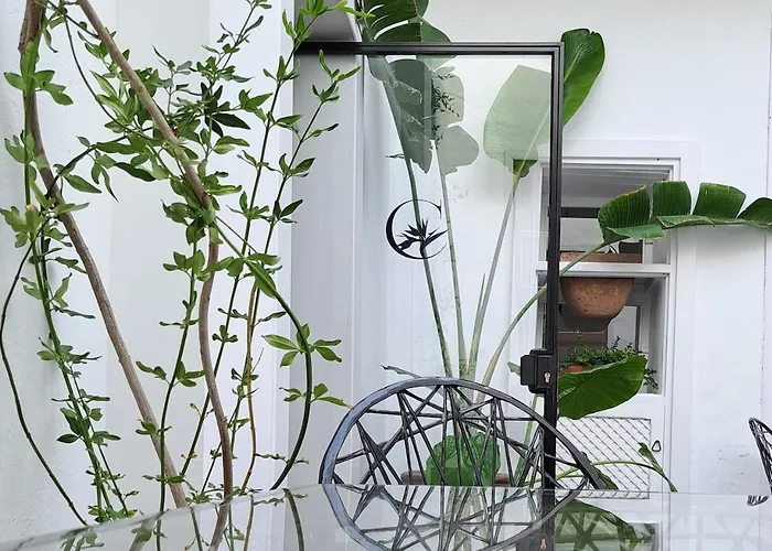 Casa De Flores - Boutique Lanzarote 4* 特吉塞