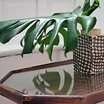 Casa De Flores - Boutique Lanzarote Hotel