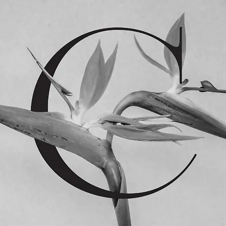 Casa De Flores - Boutique Lanzarote 호텔 4*