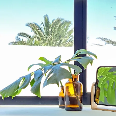 Casa De Flores - Boutique Lanzarote 4* 테기세