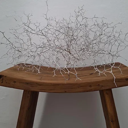 Casa De Flores - Boutique Lanzarote 4* 테기세