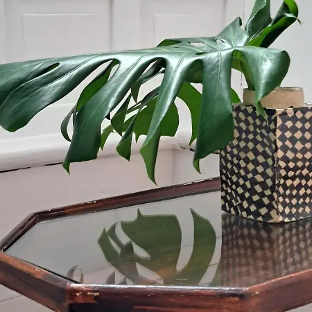 Casa De Flores - Boutique Lanzarote Hotel