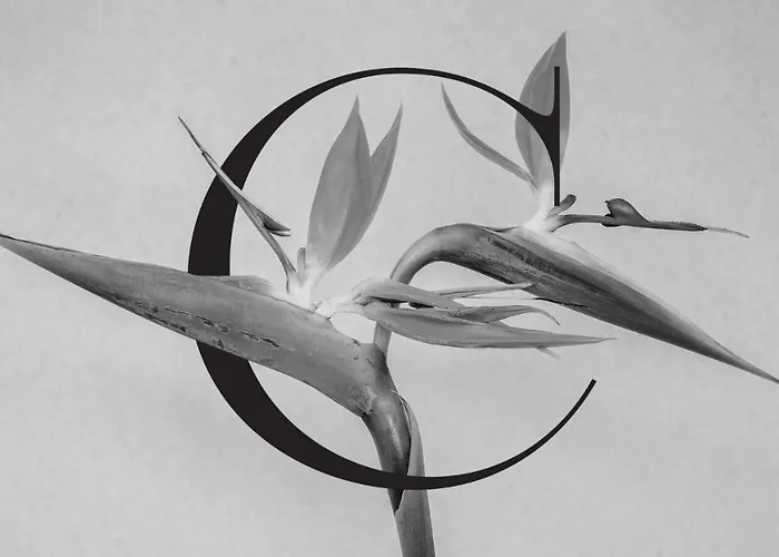 Casa De Flores - Boutique Lanzarote Ξενοδοχείο 4*