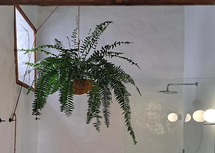 Otel Casa De Flores - Boutique Lanzarote