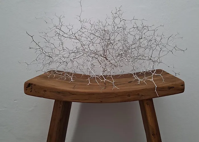 Casa De Flores - Boutique Lanzarote 4* Teguise (Lanzarote)