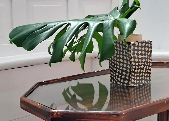 Casa De Flores - Boutique Lanzarote Otel