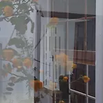 Casa De Flores - Boutique Lanzarote Hotell