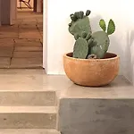 Casa De Flores - Boutique Lanzarote Teguise (Lanzarote)