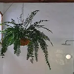 Hotell Casa De Flores - Boutique Lanzarote