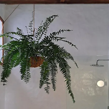 Hotell Casa De Flores - Boutique Lanzarote