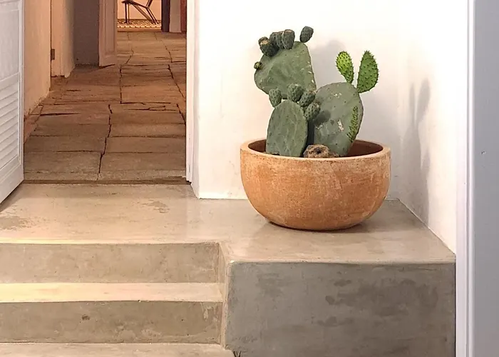 Casa De Flores - Boutique Lanzarote Teguise (Lanzarote)